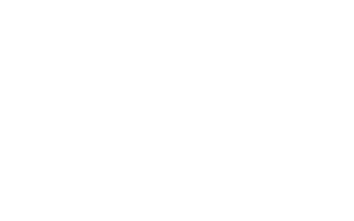 ZARA AGENCY